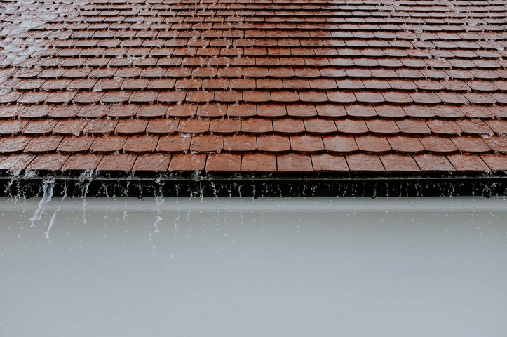 wet roof