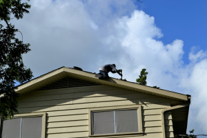 shingles