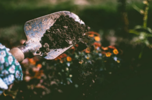 soil management